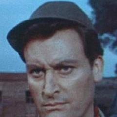 Nando Angelini