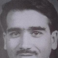 Parviz Fanizadeh